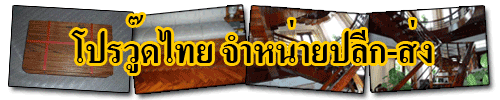 โปรวู๊ดไทย